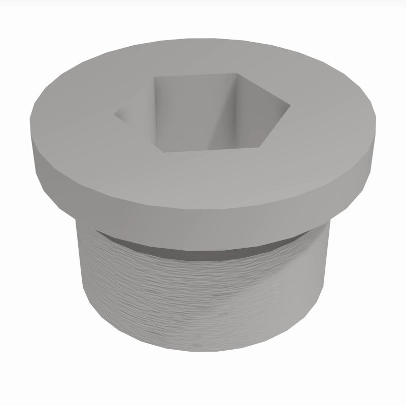 Load image into Gallery viewer, MagnaFlow Plug Hex Flange O2 Boss (20-Pk)
