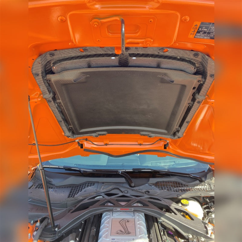 Load image into Gallery viewer, Ford Racing 20-22 Mustang GT500 Carbon Fiber Hood Vent Kit
