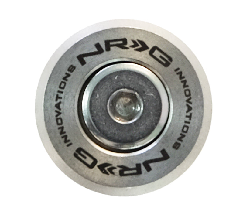 Load image into Gallery viewer, NRG M-Style Fender Washer Kit (TI Series) M6 Bolts For Plastic (Silver Wshr/Silver Scrw) - Set of 10
