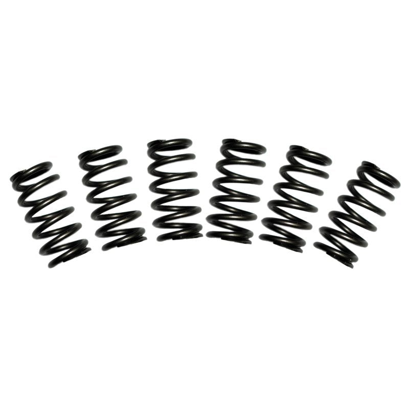 Load image into Gallery viewer, BD Diesel Valve Spring Kit 60lb Cummins 5.9 12-valve
