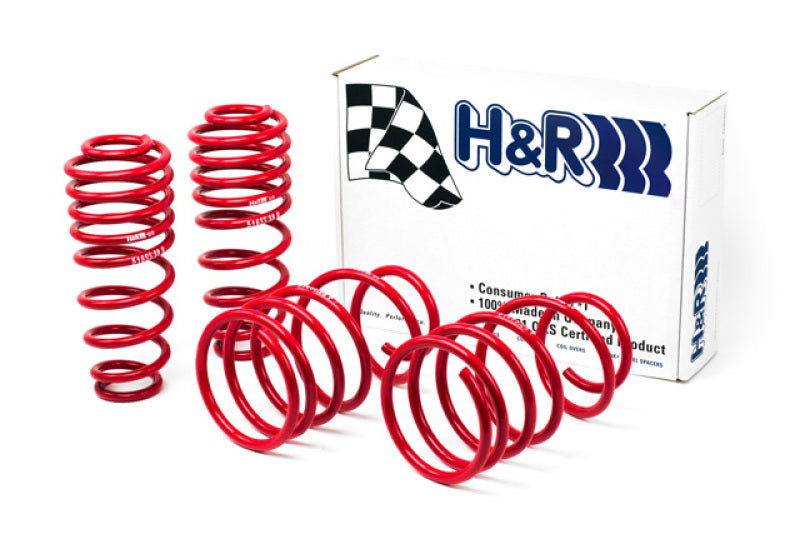 Load image into Gallery viewer, H&amp;R 05-09 Ford Mustang/Convertible/GT/Shelby GT/Shelby GT-H V6/V8 Race Spring
