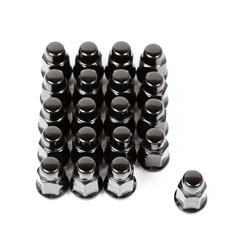 Load image into Gallery viewer, Rugged Ridge Wheel Lug Nut Set of 20 Black 1/2-20
