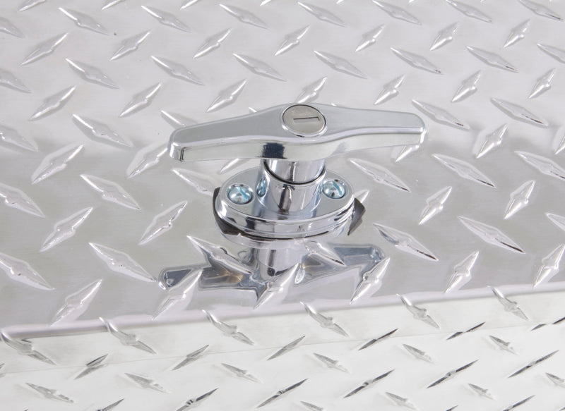 Load image into Gallery viewer, Tradesman Aluminum Fender Well Truck Tool Box (48in.) - Brite
