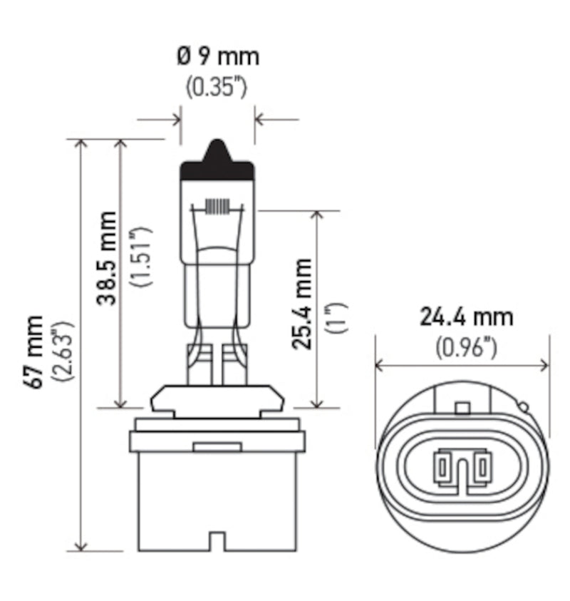 Load image into Gallery viewer, Hella Bulb 893 12V 37.5W PG13 T3.25
