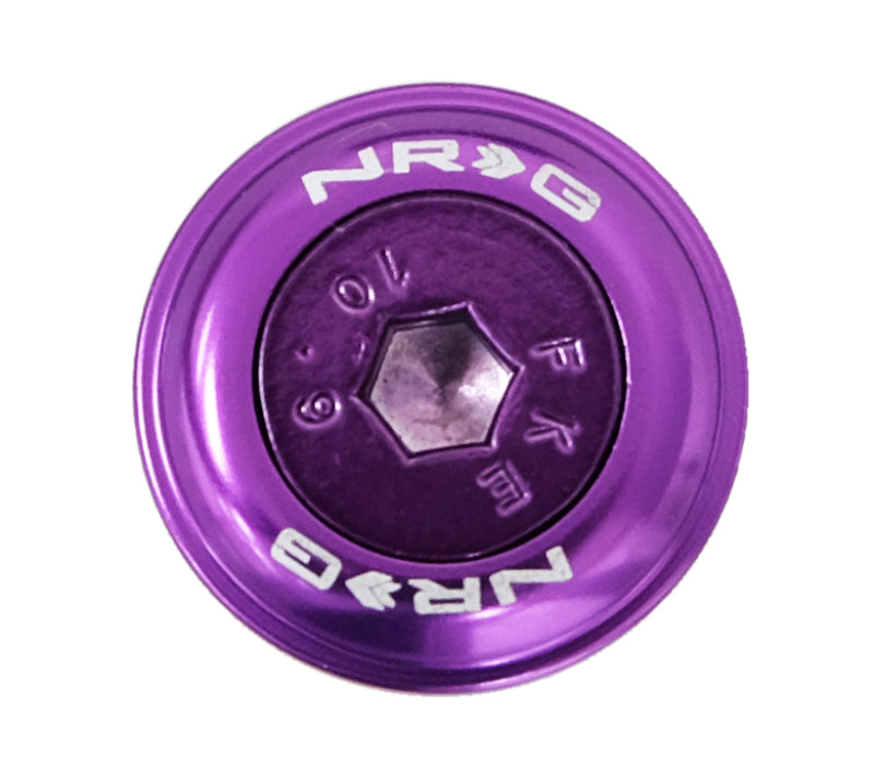 Load image into Gallery viewer, NRG Fender Washer Kit w/Color Matched M6 Bolt Rivets For Plastic (Purple) - Set of 10
