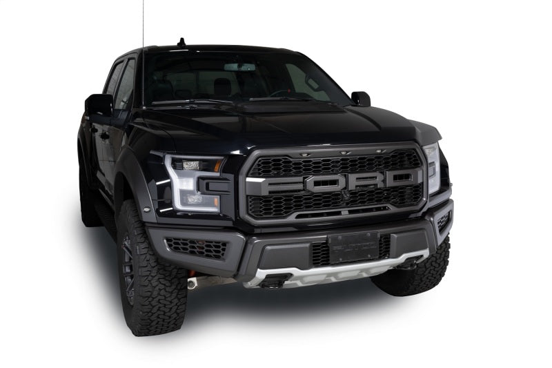 Load image into Gallery viewer, Putco 18-20 Ford F-150 Raptor - Hex Shield - Black Powder Coated Bumper Grille Inserts
