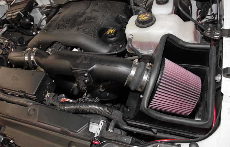 Load image into Gallery viewer, K&amp;N 11-14 Ford F-150 3.5L V6 Performance Intake Kit
