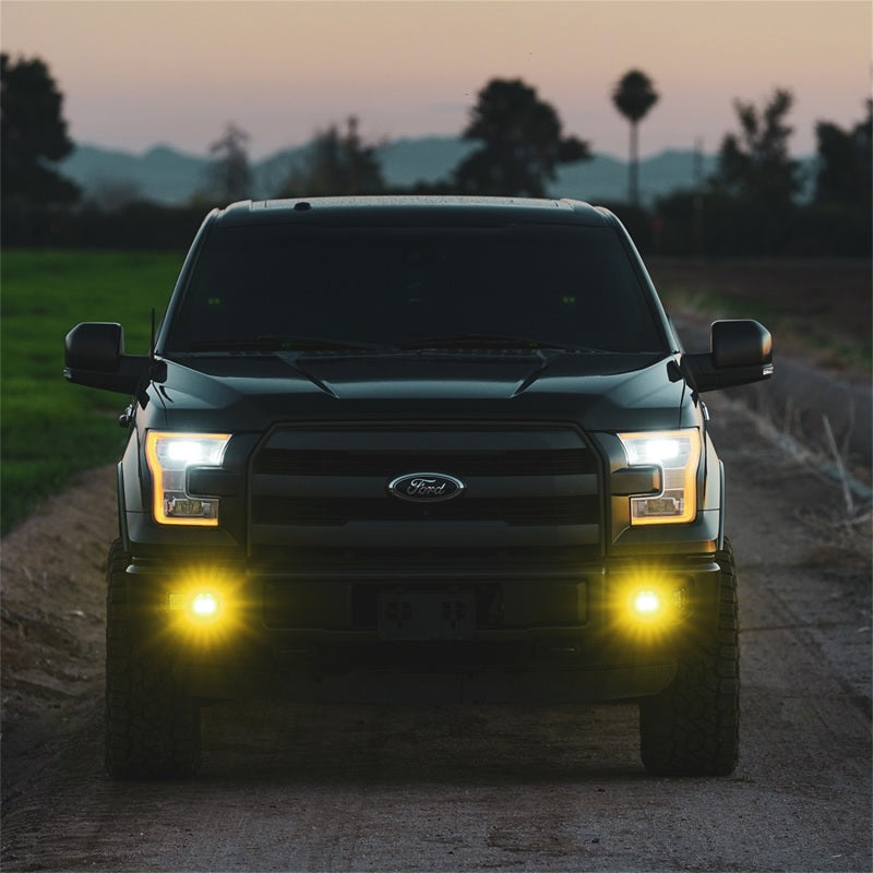 Load image into Gallery viewer, Rigid Industries D-Series SAE Fog Yellow/White Pair
