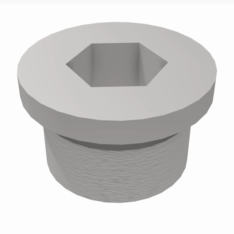 Load image into Gallery viewer, MagnaFlow Plug Hex Flange O2 Boss (20-Pk)
