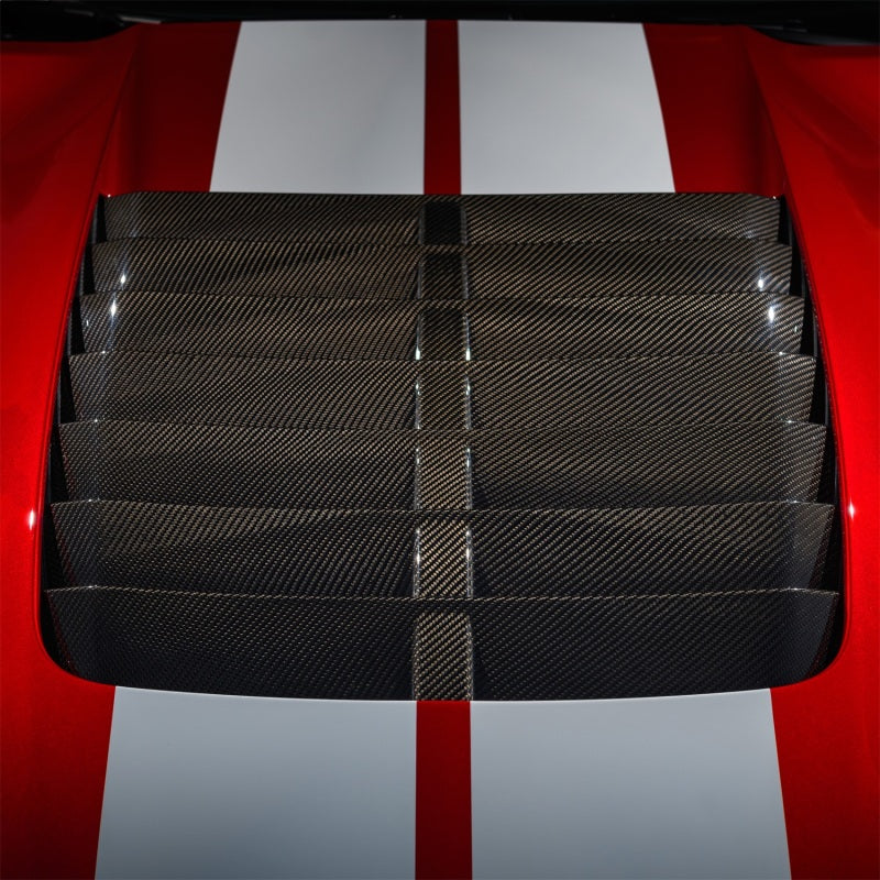 Load image into Gallery viewer, Ford Racing 20-22 Mustang GT500 Carbon Fiber Hood Vent Kit
