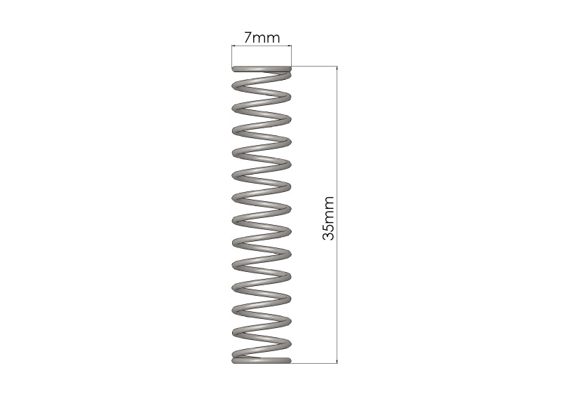 Load image into Gallery viewer, GFB Plunger Spring for DV Valve
