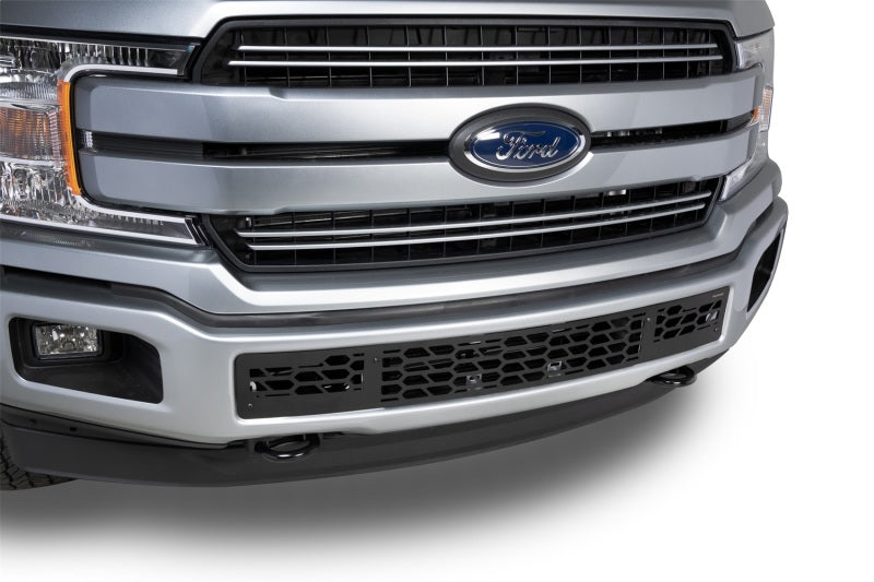 Load image into Gallery viewer, Putco 18-20 Ford F-150 - Hex Shield - Black Powder Coated Bumper Grille Inserts
