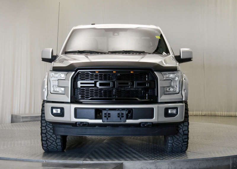 Load image into Gallery viewer, EGR 15+ Ford F150 Superguard Hood Shield - Matte (303475)
