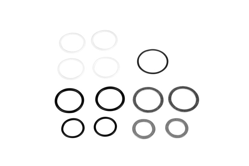 Load image into Gallery viewer, Aeromotive Rebuild Kit - Fuel Log (14201/14202)
