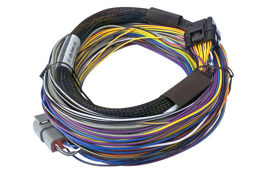 Haltech Elite 750 Basic Universal Wire-In Harness - 2.5m (8ft)