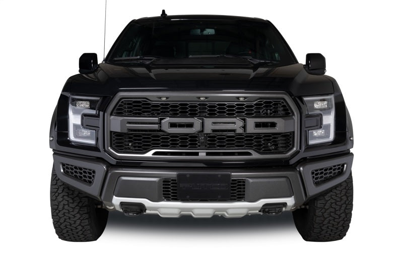 Load image into Gallery viewer, Putco 18-20 Ford F-150 Raptor - Hex Shield - Black Powder Coated Bumper Grille Inserts
