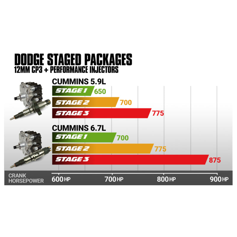 Load image into Gallery viewer, BD Diesel5.9L Cummins Stage 2 Performance CR Pump &amp; Injectors Package - Dodge 2004.5-2007
