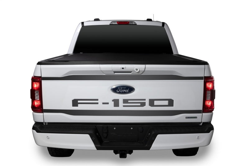 Load image into Gallery viewer, Putco 2021 Ford F-150 Ford Lettering (Cut Letters/Black Platinum) Tailgate Emblems
