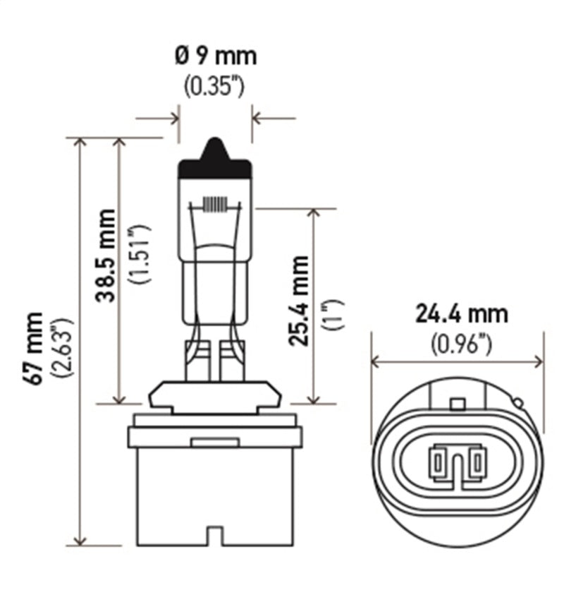 Load image into Gallery viewer, Hella Bulb 893 12V 37.5W PG13 T3.25
