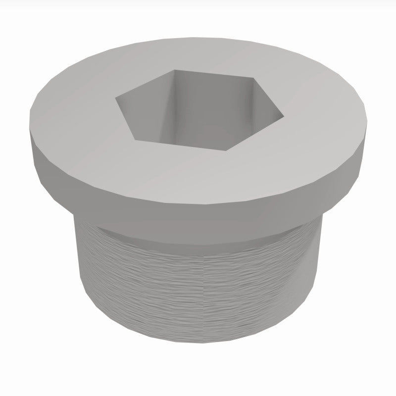 Load image into Gallery viewer, MagnaFlow Plug Hex Flange O2 Boss (20-Pk)
