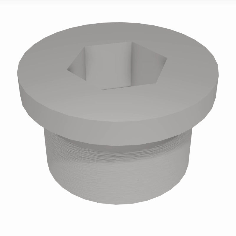 Load image into Gallery viewer, MagnaFlow Plug Hex Flange O2 Boss (20-Pk)
