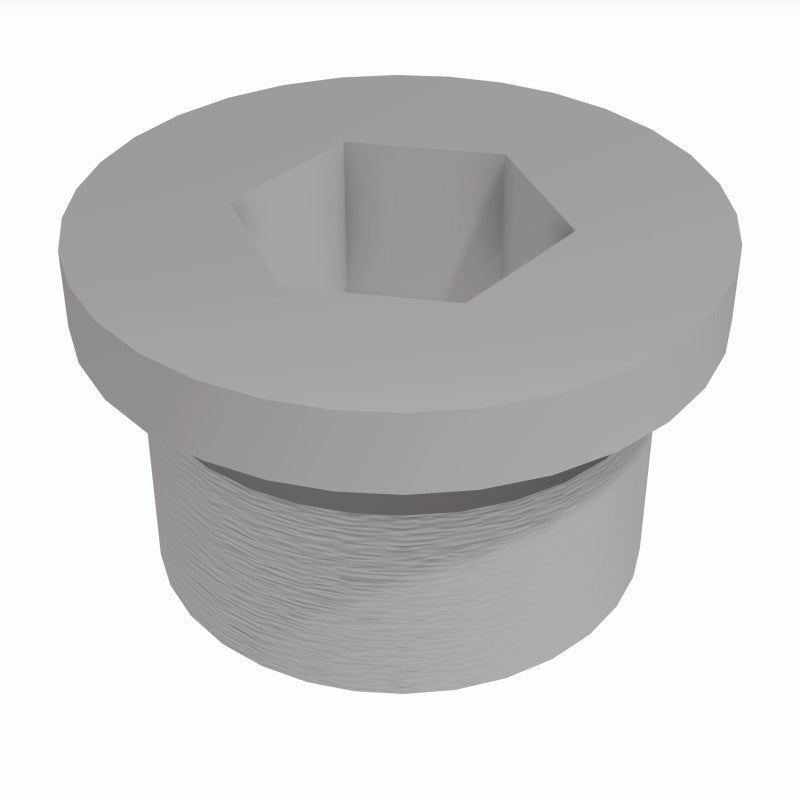 Load image into Gallery viewer, MagnaFlow Plug Hex Flange O2 Boss (20-Pk)
