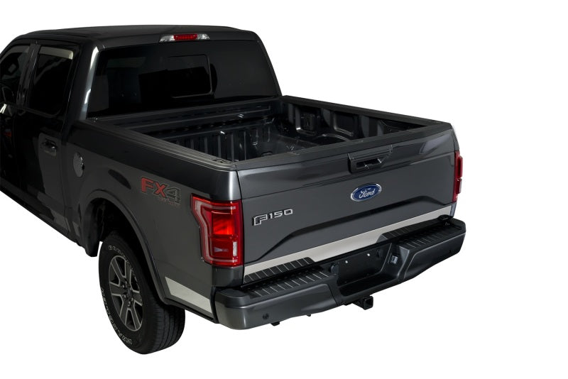 Load image into Gallery viewer, Putco 15-17 Ford F-150 - Stainless Steel - Lower Tailgate Accent - 1 pc Tailgate Accents
