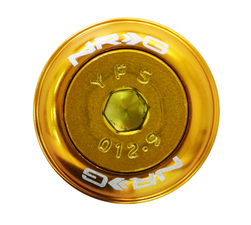Load image into Gallery viewer, NRG Fender Washer Kit w/Color Matched M8 Bolt Rivets For Plastic (Rose Gold) - Set of 8

