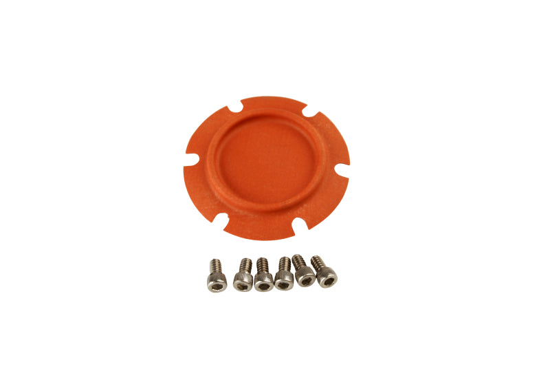 Load image into Gallery viewer, Aeromotive Regulator Repair Kit (for 13208/13210)
