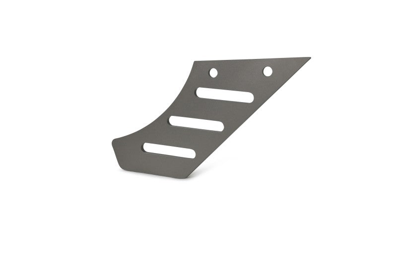 Load image into Gallery viewer, Dynojet Pan America Chain Guard
