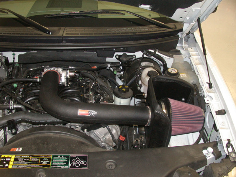 Load image into Gallery viewer, K&amp;N 04 Ford F150 V8-5.4L Performance Intake Kit
