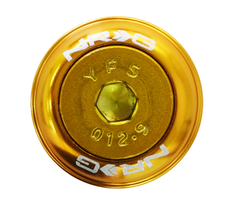 Load image into Gallery viewer, NRG Fender Washer Kit w/Color Matched M8 Bolt Rivets For Plastic (Rose Gold) - Set of 8
