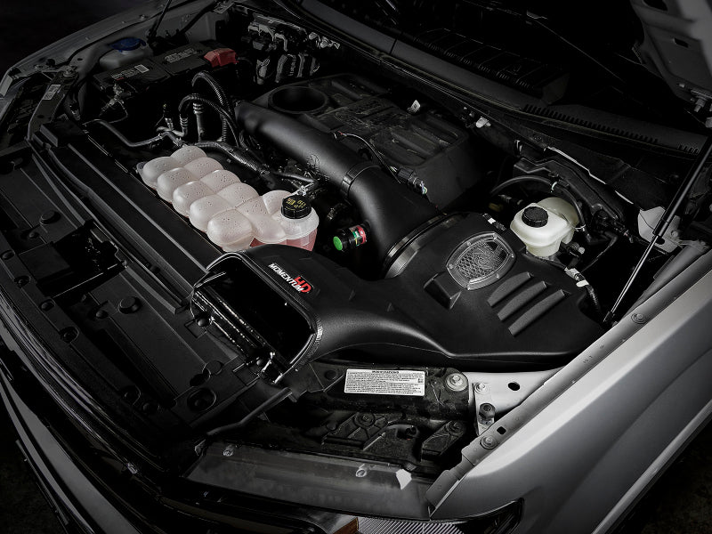 Load image into Gallery viewer, aFe Momentum HD Pro 5R Cold Air Intake System 18-19 Ford F-150 V6-3.0L (td)
