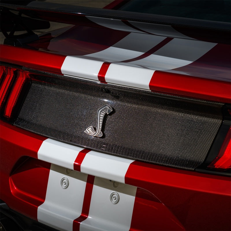 Load image into Gallery viewer, Ford Racing 20-22 Mustang GT500 Deck Lid Trim Panel
