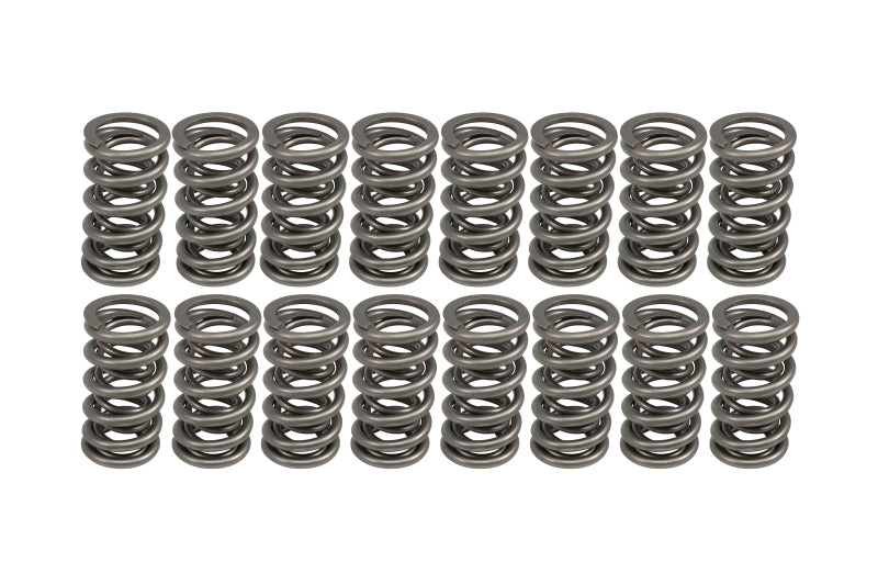 Load image into Gallery viewer, COMP Cams 1.301in OD Dual Springs 1.900in Installed Height (Set of 16)

