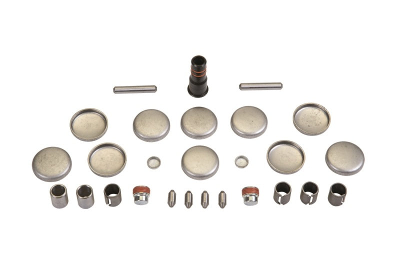 Load image into Gallery viewer, Ford Racing Plug and Dowel Kit
