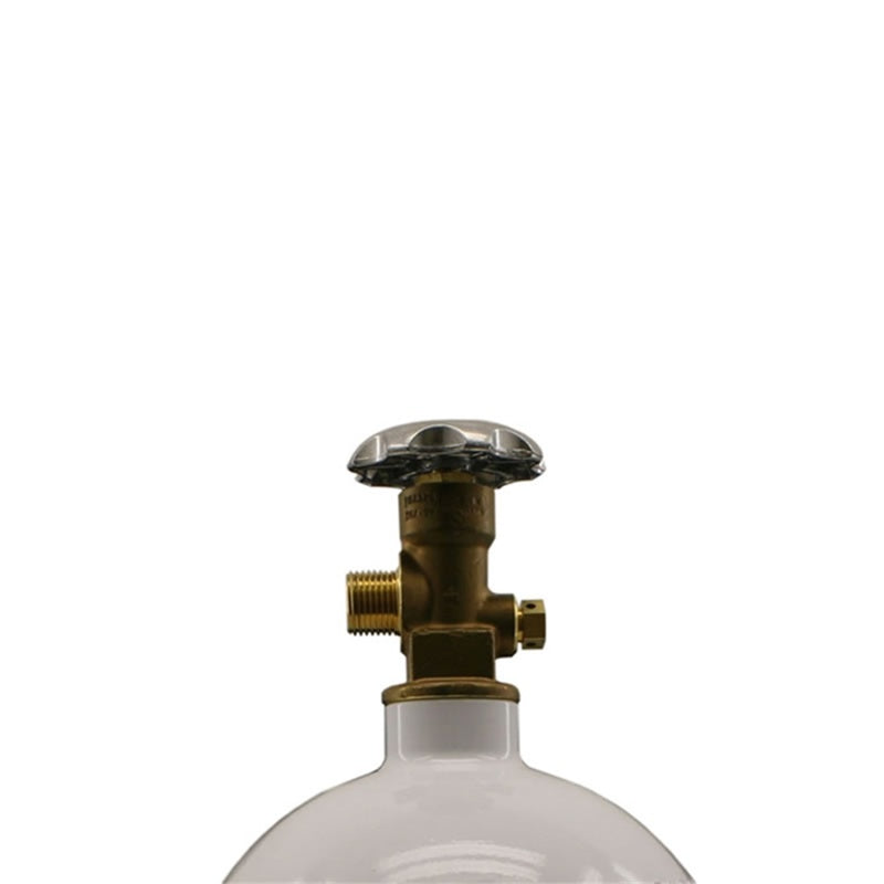 Load image into Gallery viewer, Nitrous Express Mainline Bottle Valve (Fits 12lb Bottle)
