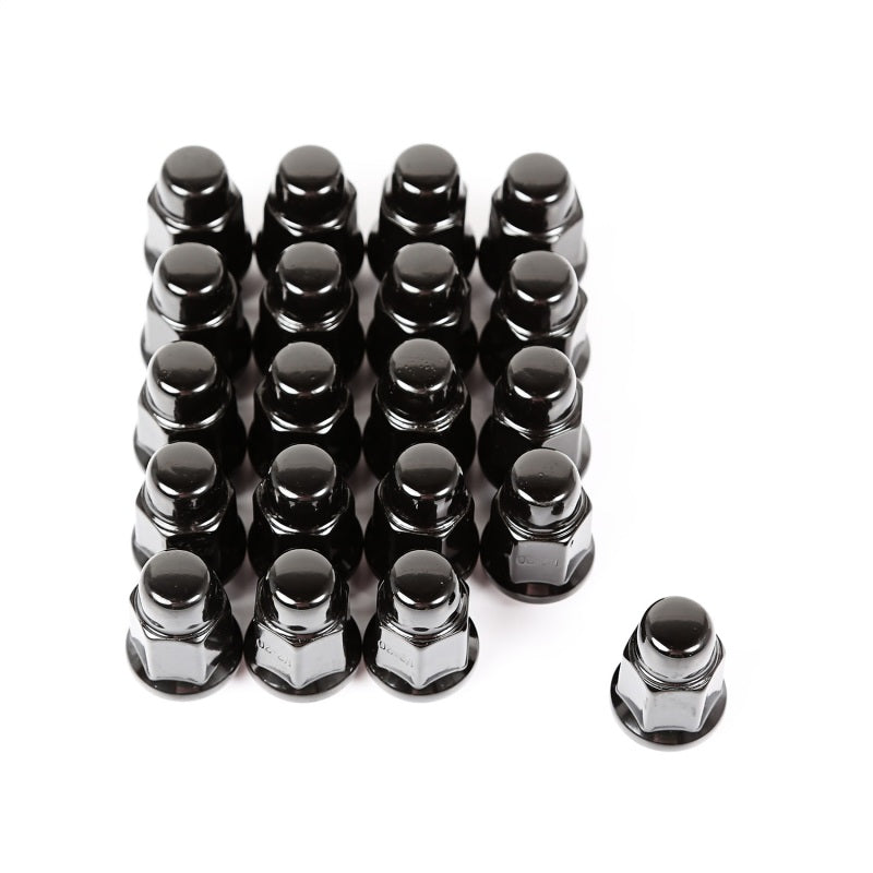 Load image into Gallery viewer, Rugged Ridge Wheel Lug Nut Set of 20 Black 1/2-20
