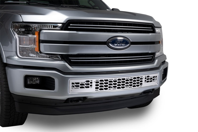 Load image into Gallery viewer, Putco 18-20 Ford F-150 - Hex Shield Style - Polished SS Bumper Grille Inserts
