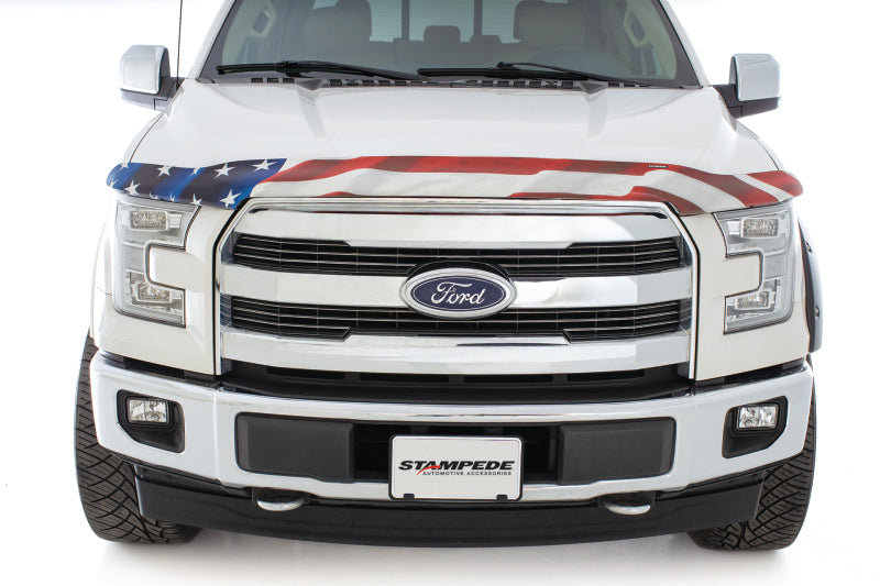 Load image into Gallery viewer, Stampede 2008-2010 Ford F-250 Super Duty Vigilante Premium Hood Protector - Flag
