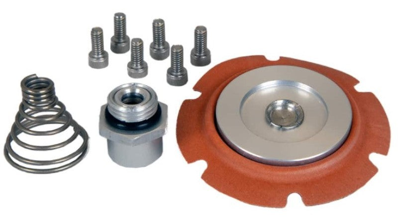 Load image into Gallery viewer, Aeromotive Carbureted Regulator Repair Kit 13222

