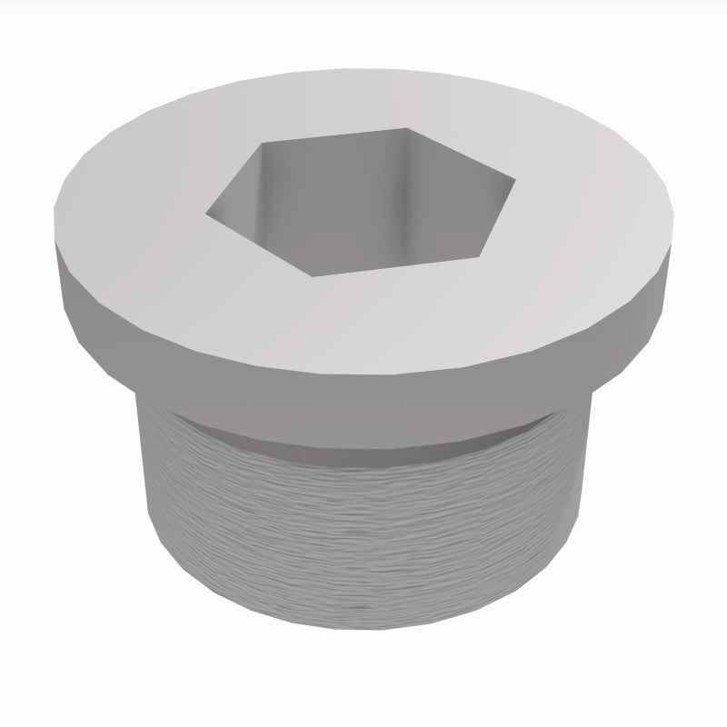 Load image into Gallery viewer, MagnaFlow Plug Hex Flange O2 Boss (20-Pk)
