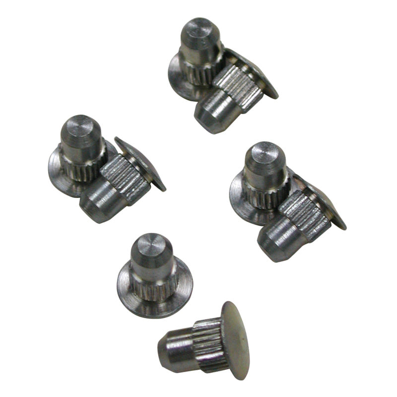 Load image into Gallery viewer, SPC Performance ALIGN CAMS GUIDE PINS (8)

