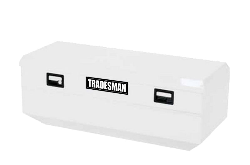 Load image into Gallery viewer, Tradesman Steel Flush Mount Truck Tool Box (60in.) - White
