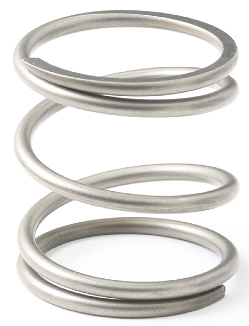 Load image into Gallery viewer, GFB EX38/44 10psi Wastegate Spring (Outer)
