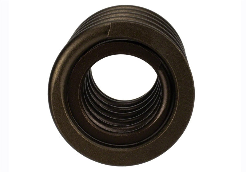 Load image into Gallery viewer, Ford Racing  Replacement Hydraulic Roller Valve Spring - Single (For M-6049-SCJA)
