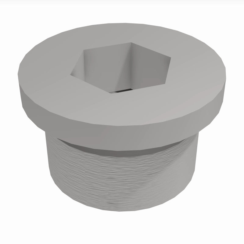 Load image into Gallery viewer, MagnaFlow Plug Hex Flange O2 Boss (20-Pk)
