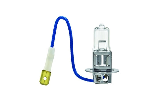 Hella H3 Halogen Bulb (Must Order Qty 10)