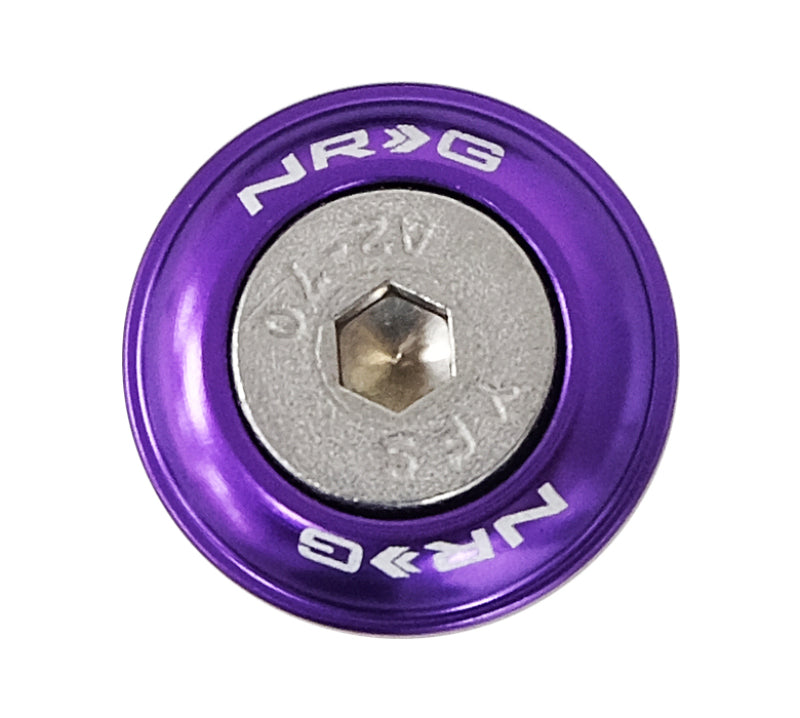 Load image into Gallery viewer, NRG Fender Washer Kit w/Rivets For Plastic (Purple) - Set of 10
