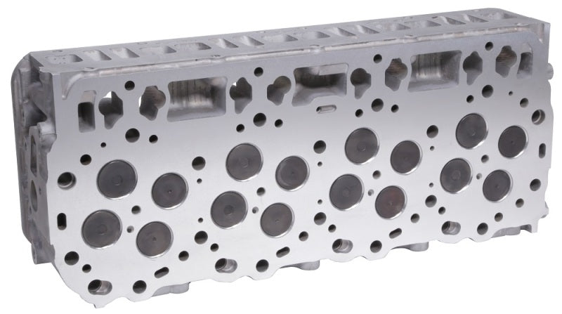 Load image into Gallery viewer, Fleece Performance 06-10 GM Duramax 2500-3500 LBZ/LMM Remanufactured Freedom Cylinder Head (Driver)

